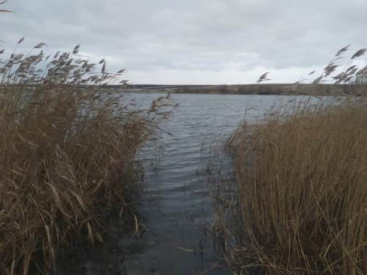 Из водоема в Уваровском округе достали тело мужчины