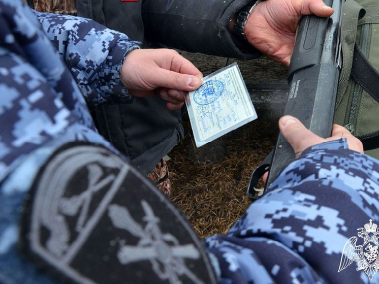 Тамбовские росгвардейцы за неделю изъяли более 15 единиц нелегального оружия