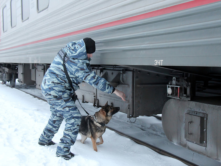 В Поморье силовики отработали действия по ликвидации террористов на железной дороге
