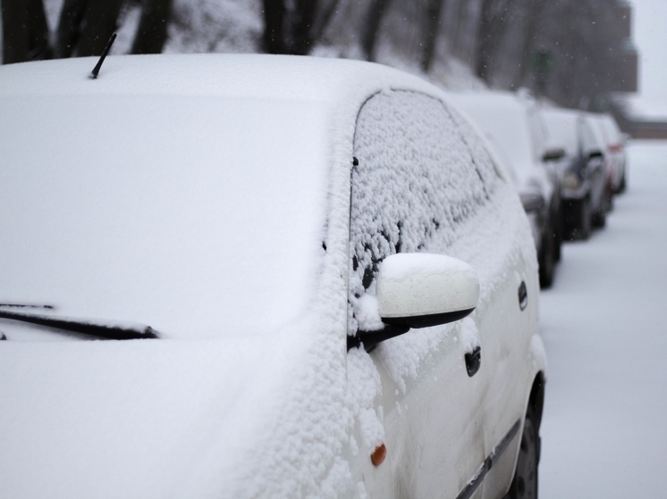 Синоптики предупредили о снегопаде и ураганном ветре в Сахалинской области днем 29 ноября