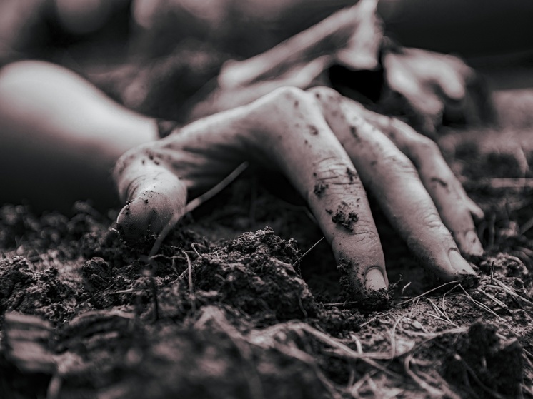 Поисковики спасли изрезанную ножом 13-летнюю девочку в лесу Карелии