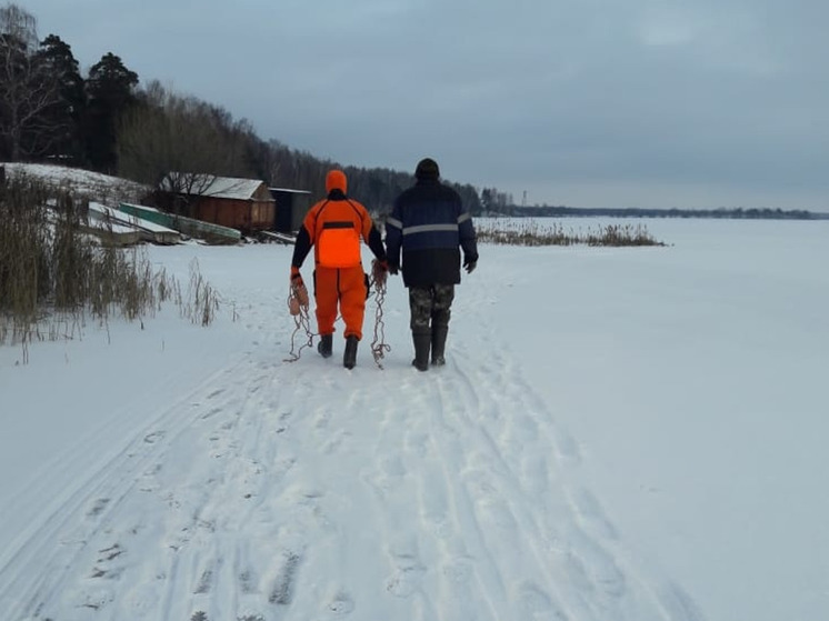 В Ивановской области спасатели попытались помочь лебедю, вмёрзшему в реку