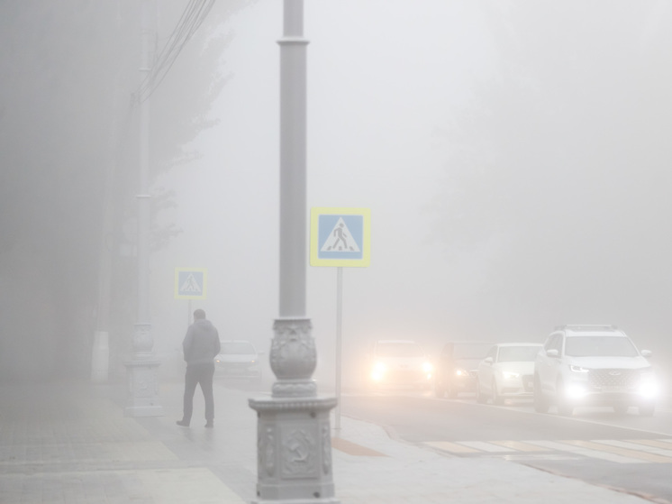  В Волгоградской области водителей предупредили об опасности из-за тумана