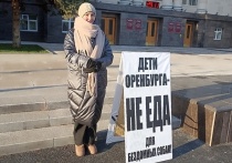 В Оренбурге перед Домом Советов проходит одиночный пикет