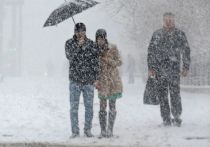 

Московские телеграм-каналы сообщают о снежном шторме, который движется в сторону Москвы