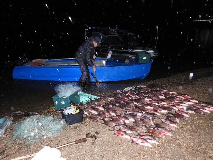 Подмосковная полиция задержала на реке двух браконьеров