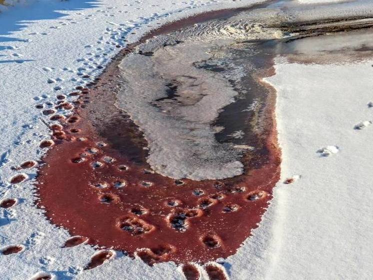 Томь окрасилась в красный цвет у правого берега в Кемерове