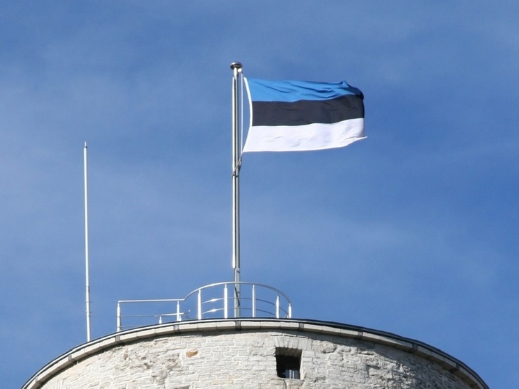 Глава МИД Эстонии допустил вариант закрытия границы с Россией