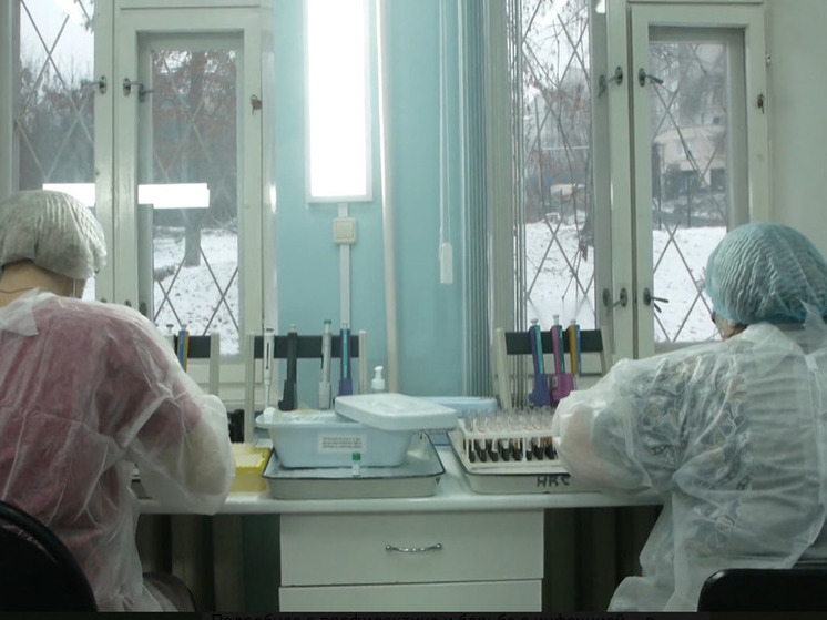 В Белгородской области за 9 месяцев 2023 года обнаружили 142 случая заражения ВИЧ