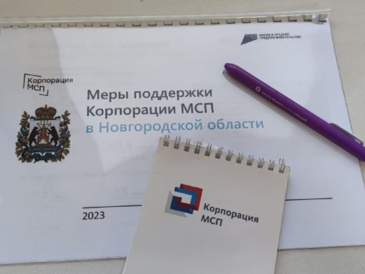 Новгородский бизнес получил почти 300 млн рублей льготных инвесткредитов
