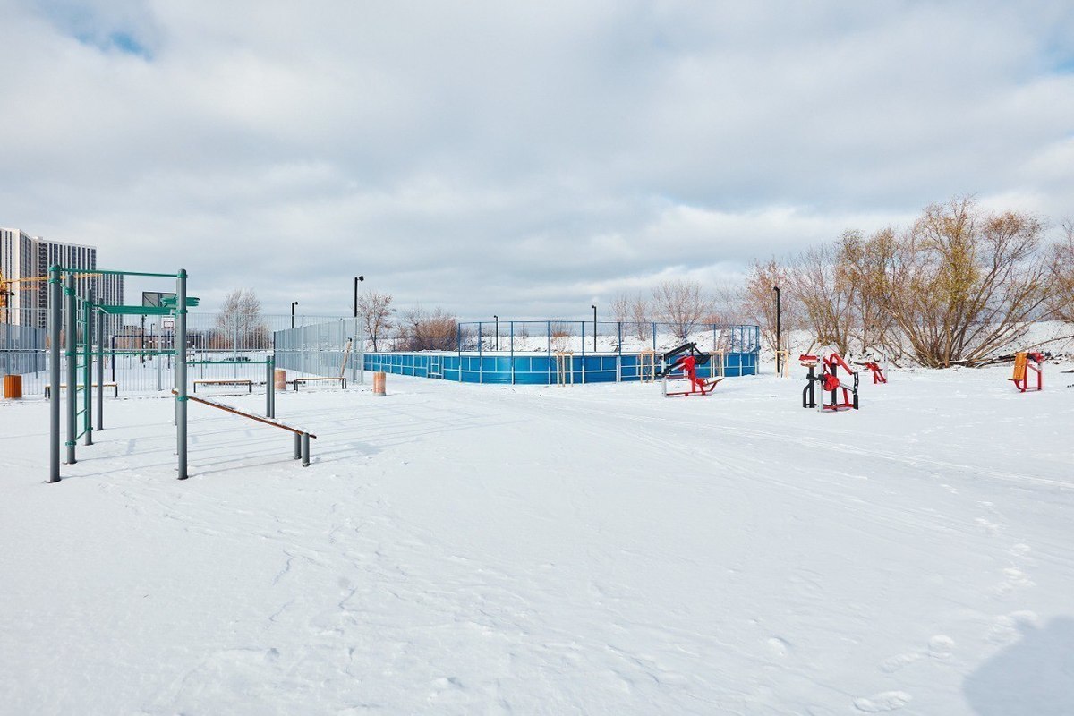 Городской лес. Бережно парк. Бережно парк. Грин парк лондон. Новимакс тюмень строительная компания.