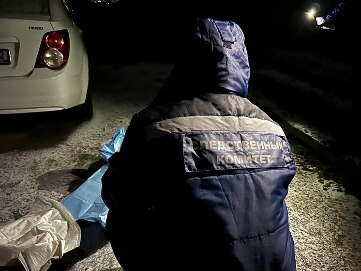 25-летнему брянцу грозит срок за убийство