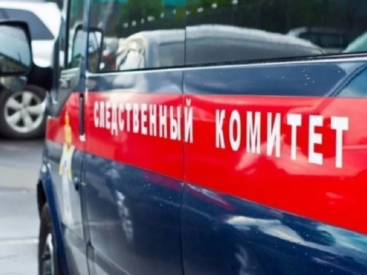 Александр Бастрыкин запросил доклад о проверке по факту о возможном нарушении прав псковского инвалида