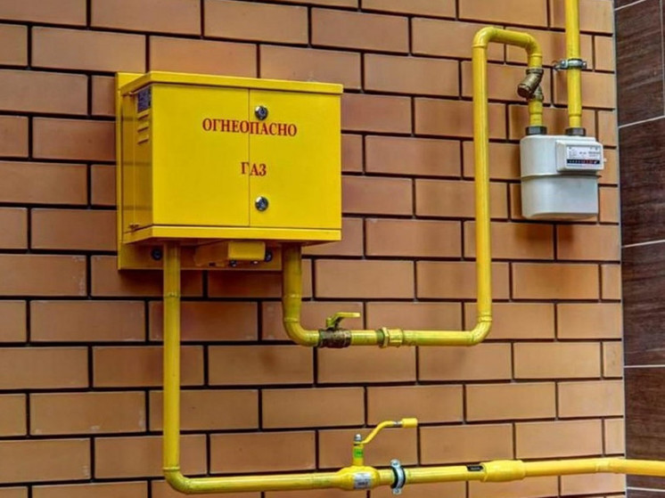 В Подмосковье завершили проверку всех газифицированных домов