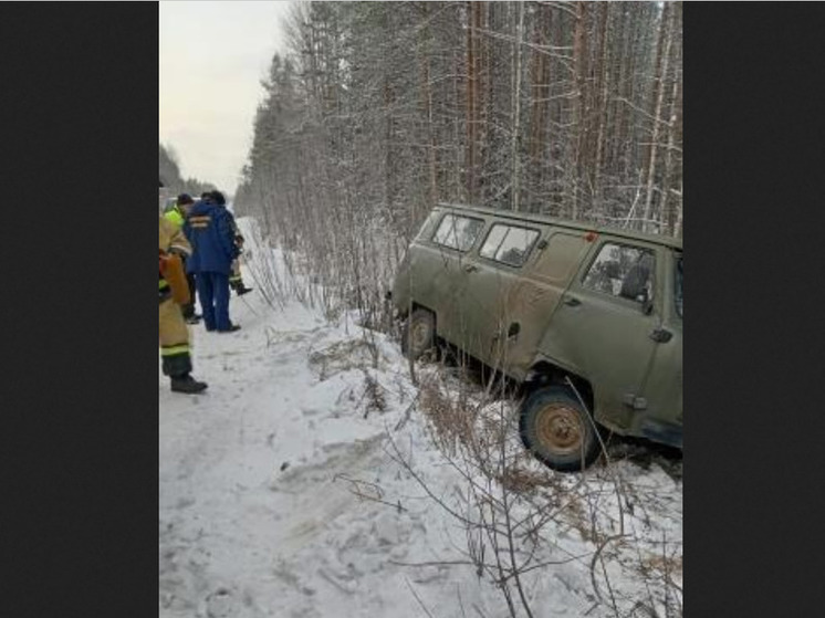 Спасатели вытащили Буханку из кювета в Карелии