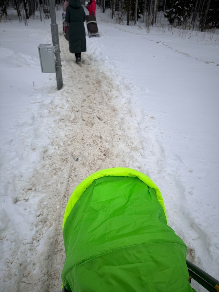 Коммунальщики впервые за многие годы не убрали сквер в Петрозаводске