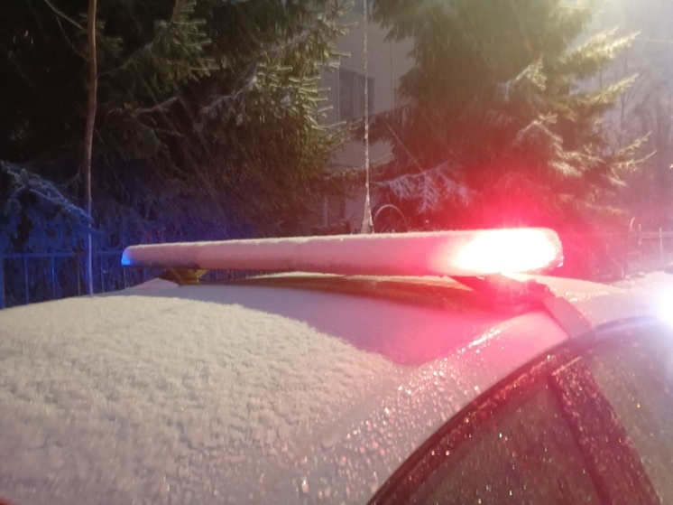 Любитель пьяной езды в Карелии остался без автомобиля