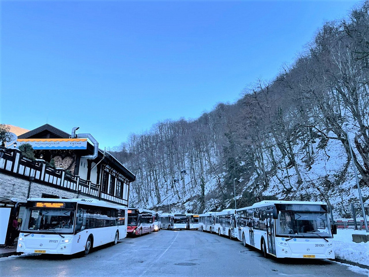 В горах Сочи пустят дополнительные автобусы в новогодние праздники