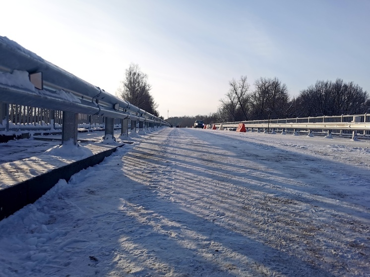 Техническое движение отрыли по мосту через реку Череха под Псковом