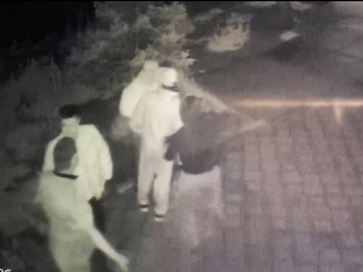 28-летний житель Тувы предстанет перед судом за убийство у караоке-бара