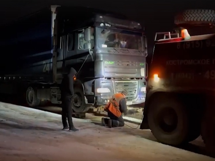 Костромские полицейские задержали пьяного мигранта на фуре DAF