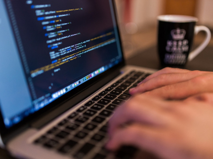 Студенты в НАО прошли регистрацию на «Заполярный прорыв»