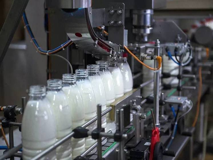 Молочный завод открыли в Кизлярском районе