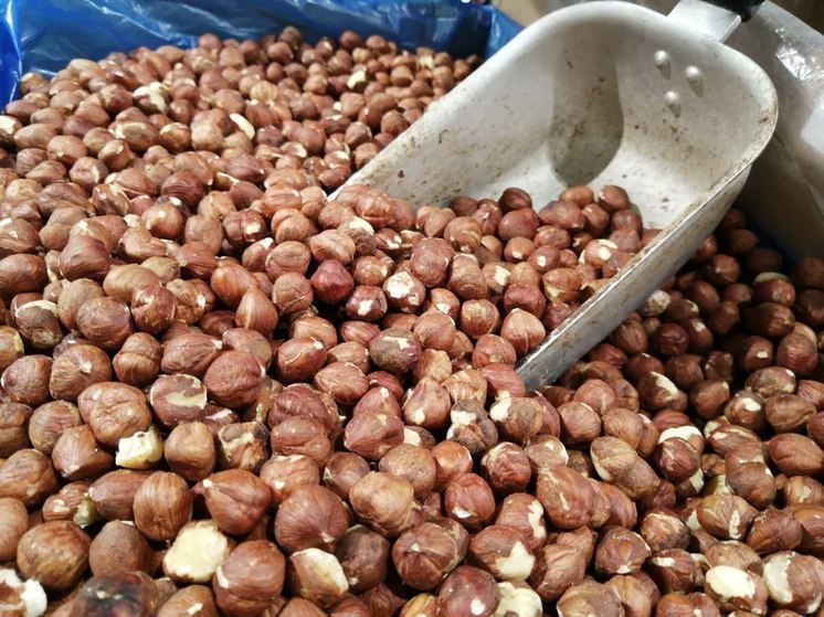 Врач-нутрициолог рассказала, какие продукты улучшают работу мозга