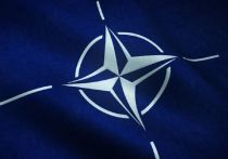 Программа сотрудничества НАТО и Украины на 2024 год носит добровольный характер и не предусматривает передачу Киеву летального оружия