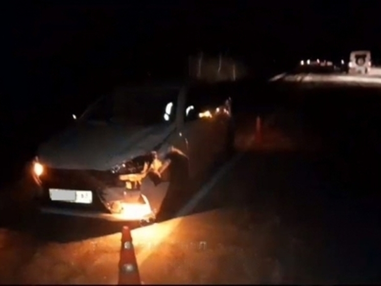 В Пичаевском округе в ДТП с легковушками и трактором пострадал человек
