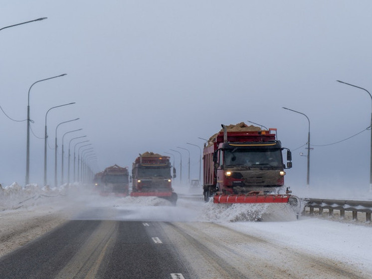 В Тамбовской области 155 спецавтомобилей готовы выйти на трассы в снегопад