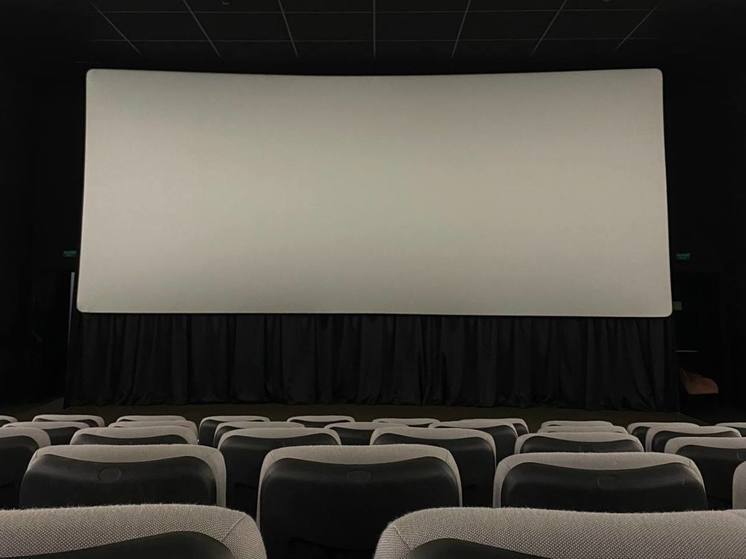 В Гатчине назвали победителей фестиваля «Литература и кино»