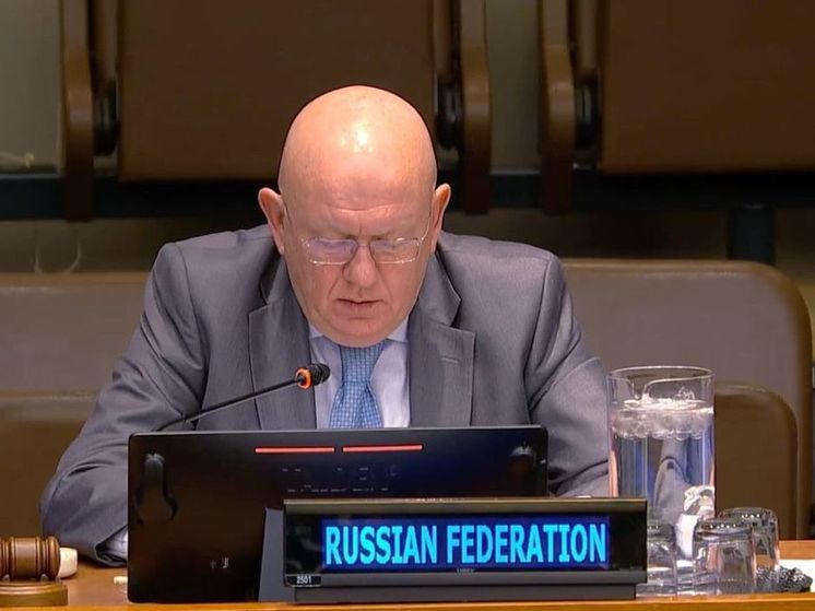 Небензя напомнил об усилиях России по решению палестинской проблемы