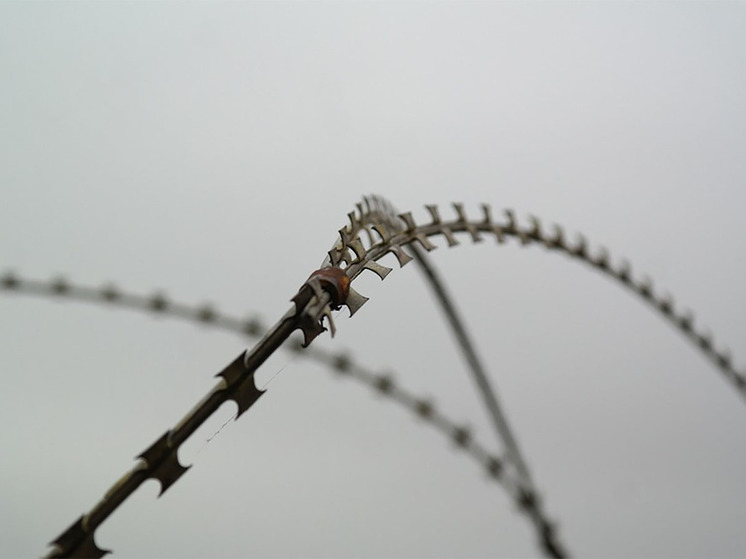 Две освобожденные ХАМАС россиянки доставлены на египетскую сторону КПП "Рафах"