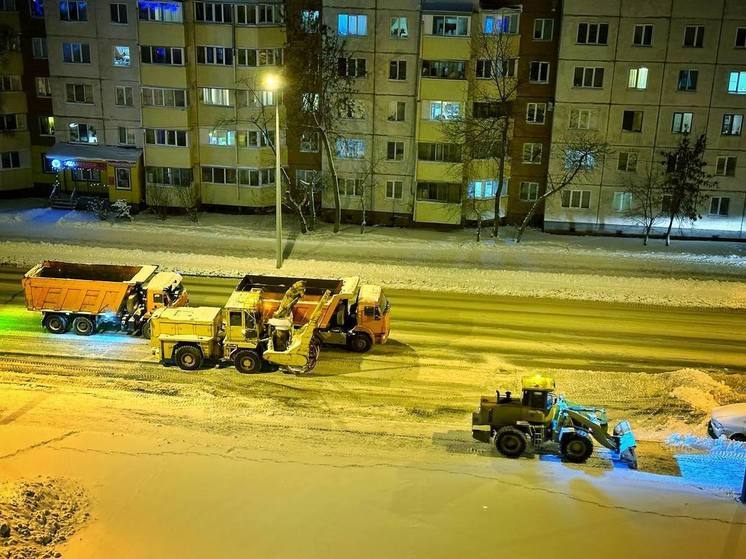 Снег и умеренный ветер ожидаются в Сахалинской области днем 30 ноября