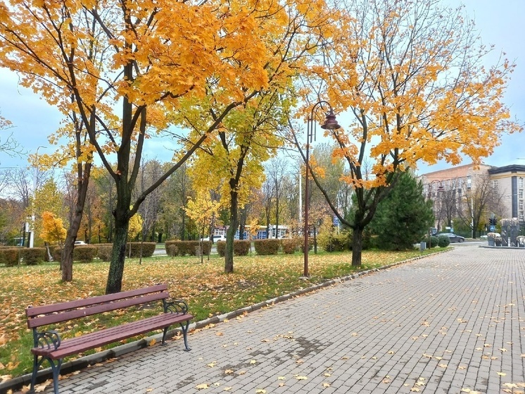 Дончане смогут выбрать городские территории, нуждающиеся в благоустройстве