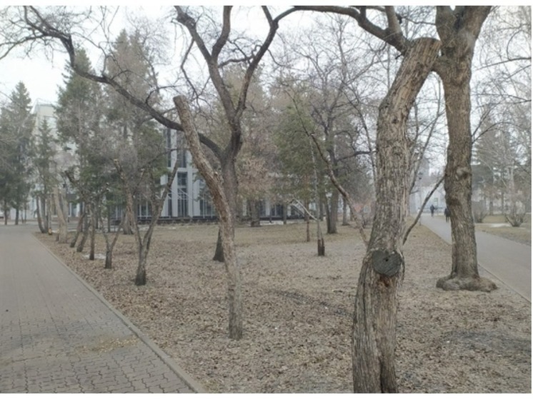 Мэр Локоть назвал срок сдачи Первомайского сквера в Новосибирске