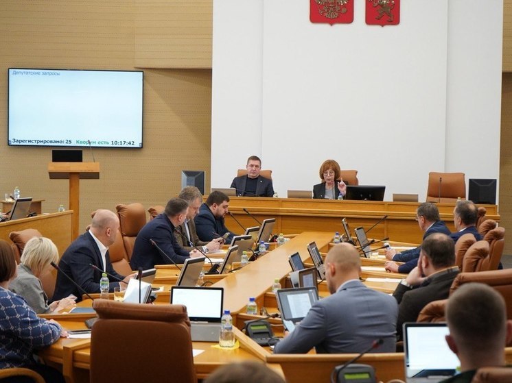 Депутаты усилят безопасность детей в школах и детских садах Красноярска
