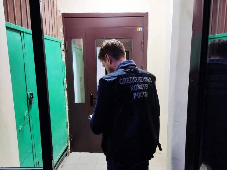 Подозреваемый в убийстве супруги житель Воскресенского района пойдет под суд