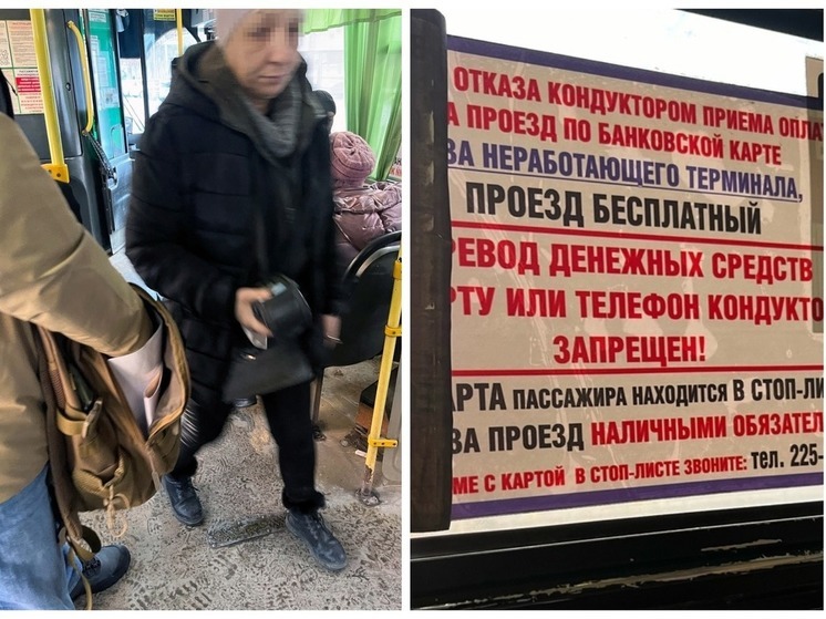 В Новосибирске кондуктор обматерила пассажирку за требование оплаты по терминалу