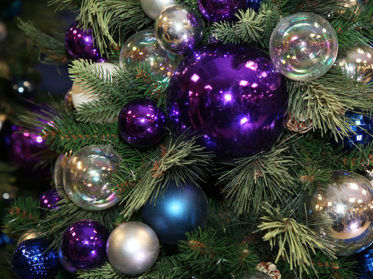 Из Подмосковья в Кремль доставят главную новогоднюю ель страны