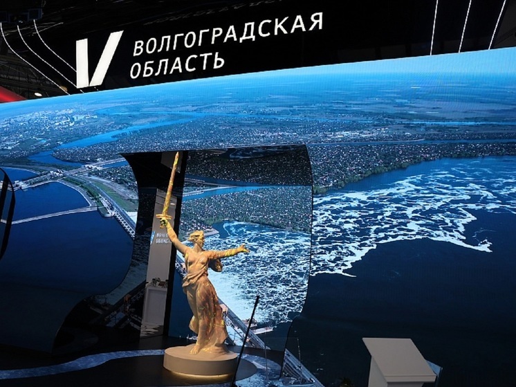  В День Волгоградской области на ВДНХ в Москве пройдет «Пуховое дефиле»