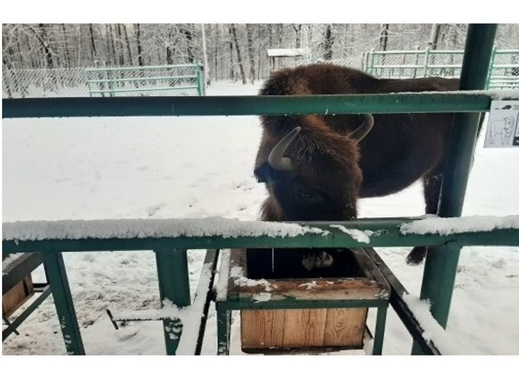 «Смоленское Поозерье» отмечено Благодарственным письмом Минприроды