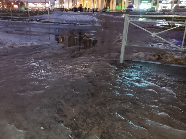 Травматолог Терновой дал советы, как не падать при гололеде
