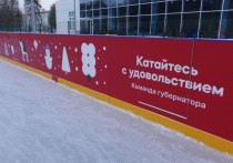 Все желающие уже могут протестировать лед в Питомнике