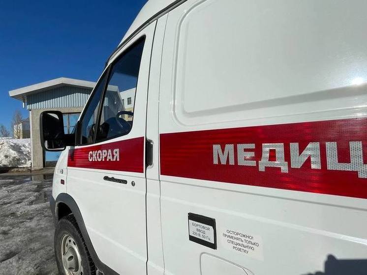 В Мурманской области от гриппа вакцинировались 40,4% населения