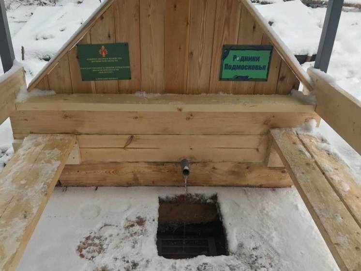 Два новых родника благоустроили в Клинском лесничестве