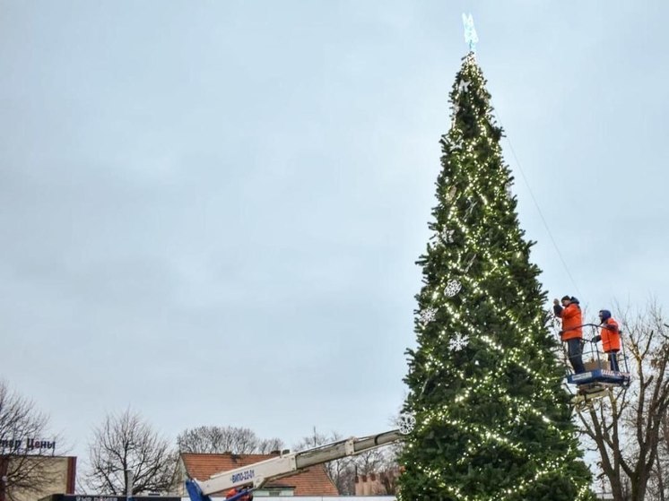 В Балтийске определились с местом для новогодней елки