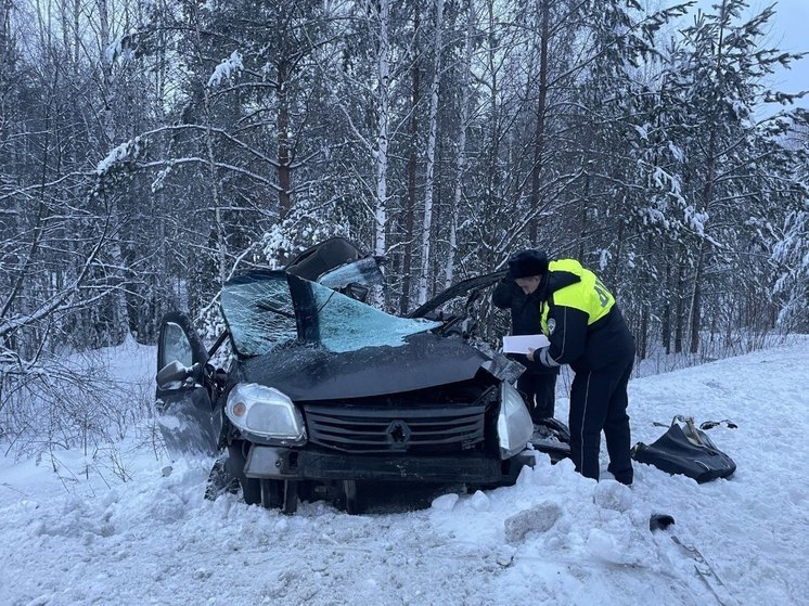 Женщина-водитель со стажем в 1 месяц устроила смертельное ДТП на Урале