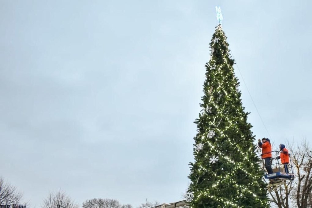 В Балтийске определились с местом для новогодней елки